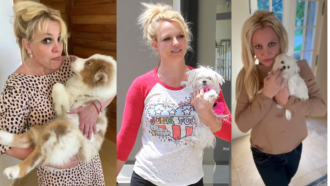 Britney Spears & Her Dogs: What’s Happening Now?