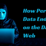 How Personal Data Ends up on the Dark Web—and What Cybersecurity Professionals Can Do About It