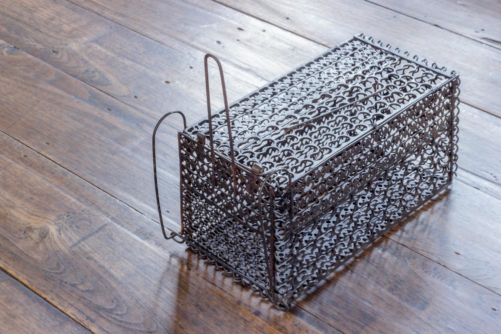 Rodent Control Tools and Tips