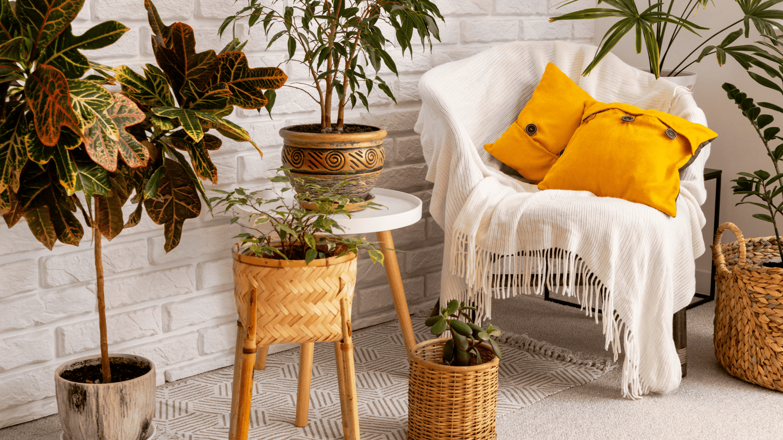 10 Best Sustainable Home Decors To Give your Living Space An Eco-Friendly Vibe