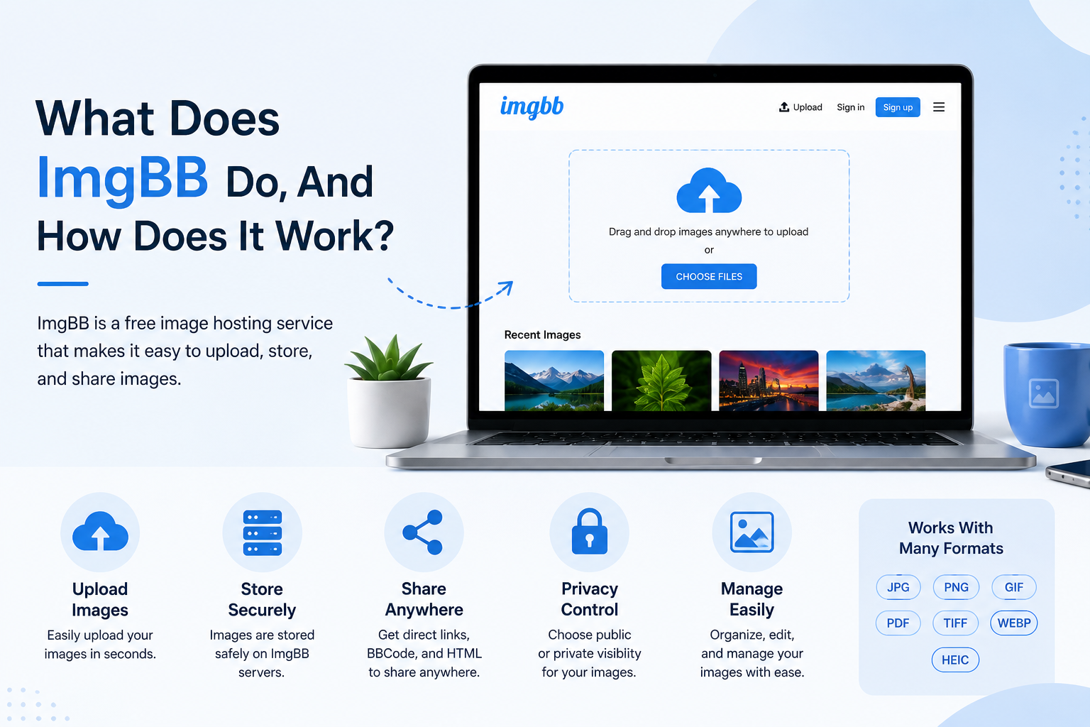 ImgBB Image Hosting Explained